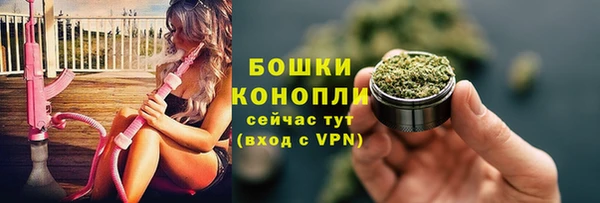 apvp Арсеньев