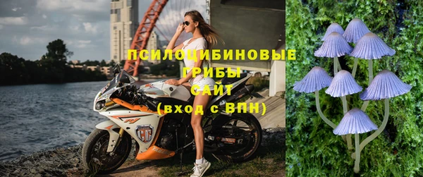 гидропоника Аркадак
