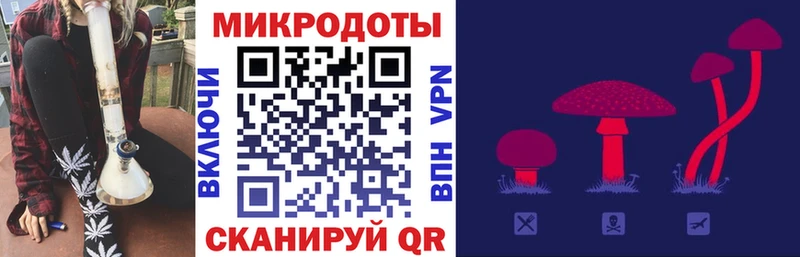 где купить наркоту  Пушкино  Галлюциногенные грибы мухоморы 